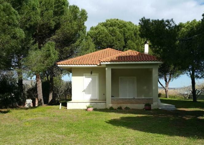 Villa Sunny Day Marathon  Exterior photo