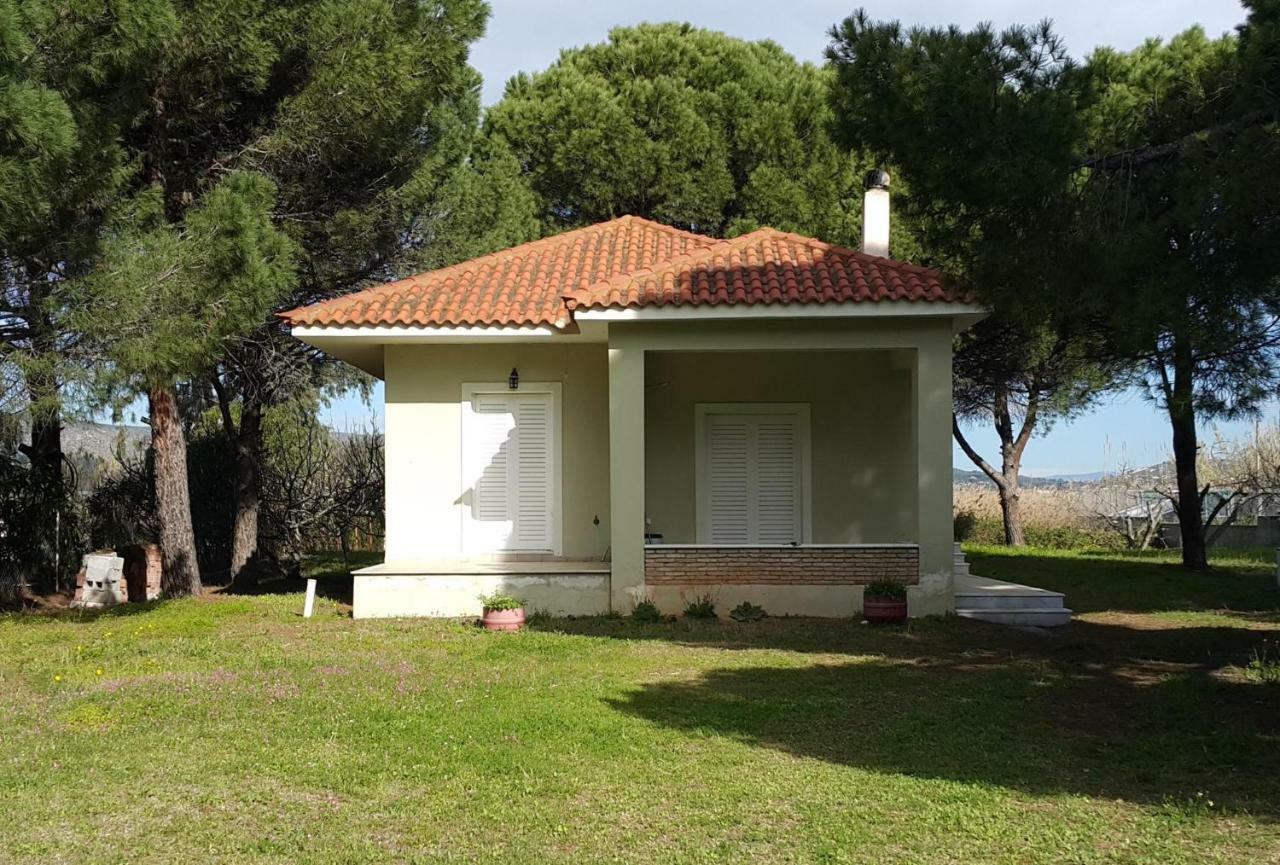 Villa Sunny Day Marathon  Exterior photo